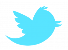 new-twitter-bird-transparent