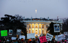 24brooksWeb-master768