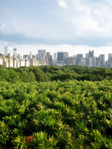 750816162_5d44b6cf31_z