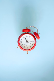 shutterstock_1446688247